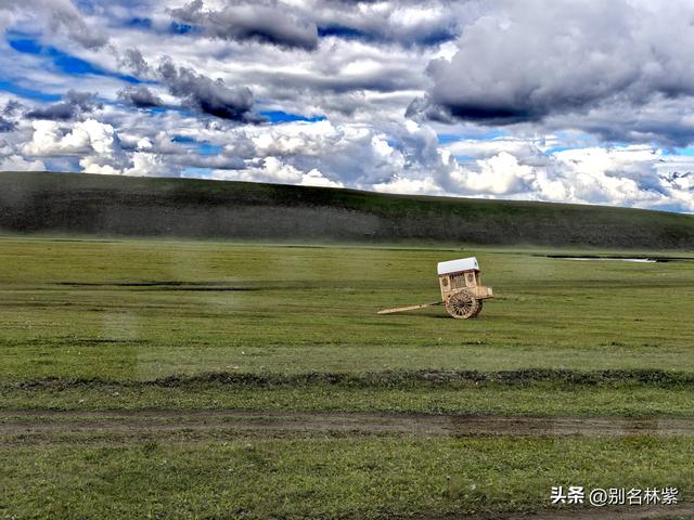 呼伦贝尔自由行，莫日格勒河景区一日游 ，分享游玩攻略和避坑指南