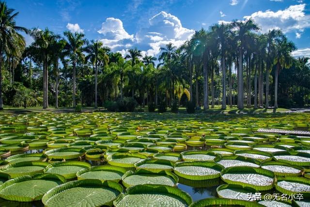 感觉今年到云南西双版纳避寒过冬旅居的人变少了，你知道为什么吗