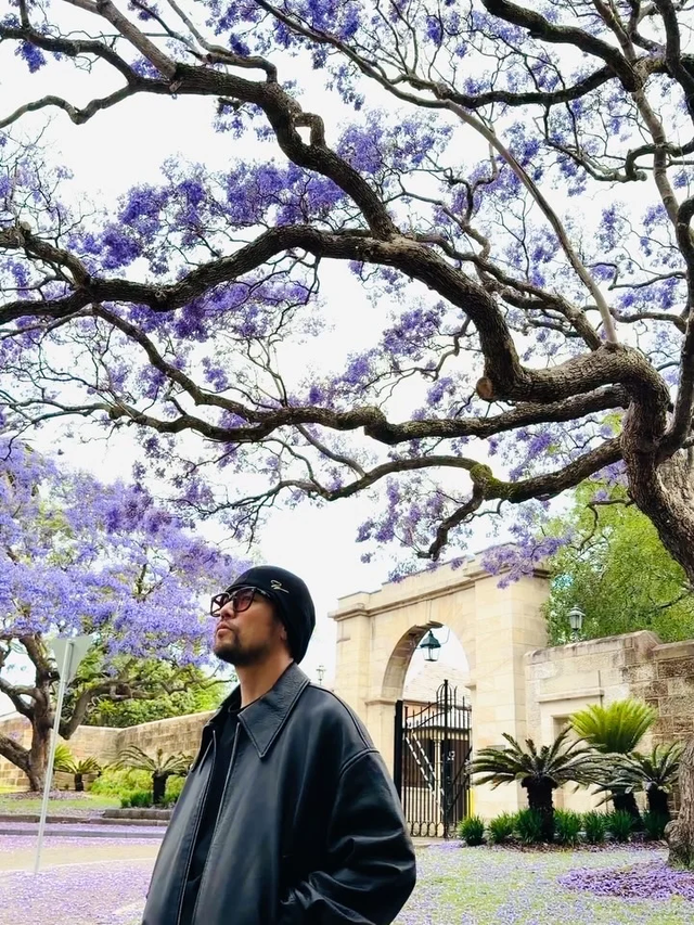 澳洲一年一次的绝美风景再度刷屏! 周杰伦也在打卡, 华人狂偶遇