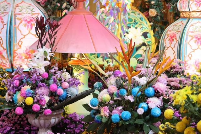 “枫”景正好！开封最美秋色已上线！