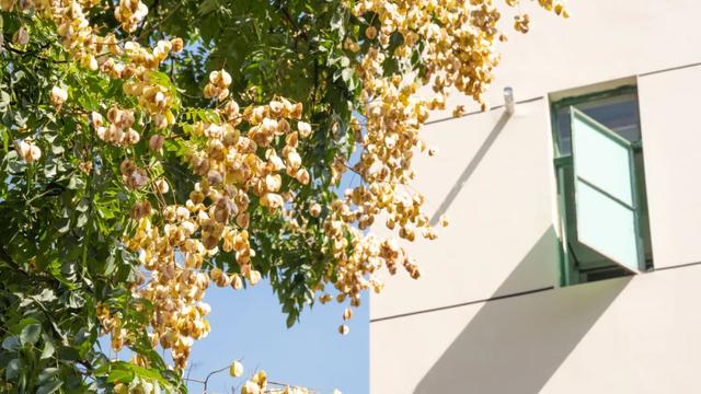 秋日限定|“落叶不扫”模式开启,44条景观道观赏指南请收藏!