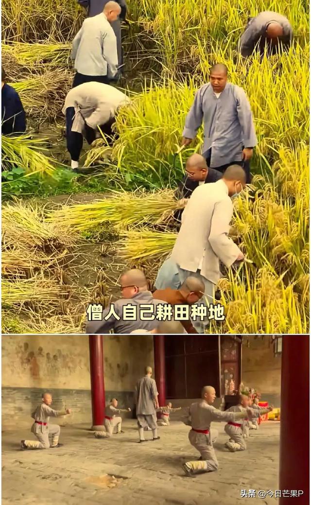 少林寺大地震！印乐方丈15年前狠话曝光，假和尚的末日真的来了？