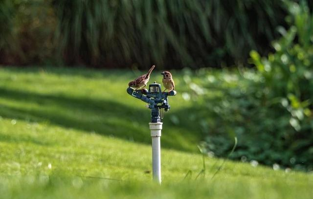贵州这回真要起飞了！被国家 “点名”，即将代表中国走向世界！