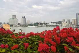 老眼昏花我居然没有认出你来图片