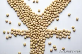 2025年这一轮全球贸易摩擦的迷雾之下，中国选择从大豆率先破局？图片