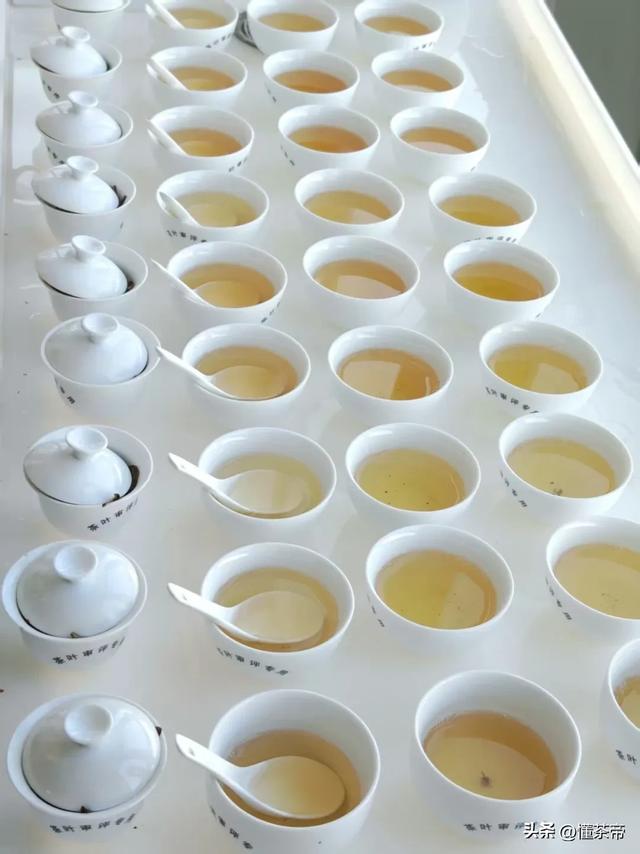 史上最全普洱茶盖碗冲泡测评!不同普洱茶怎么泡最好喝?