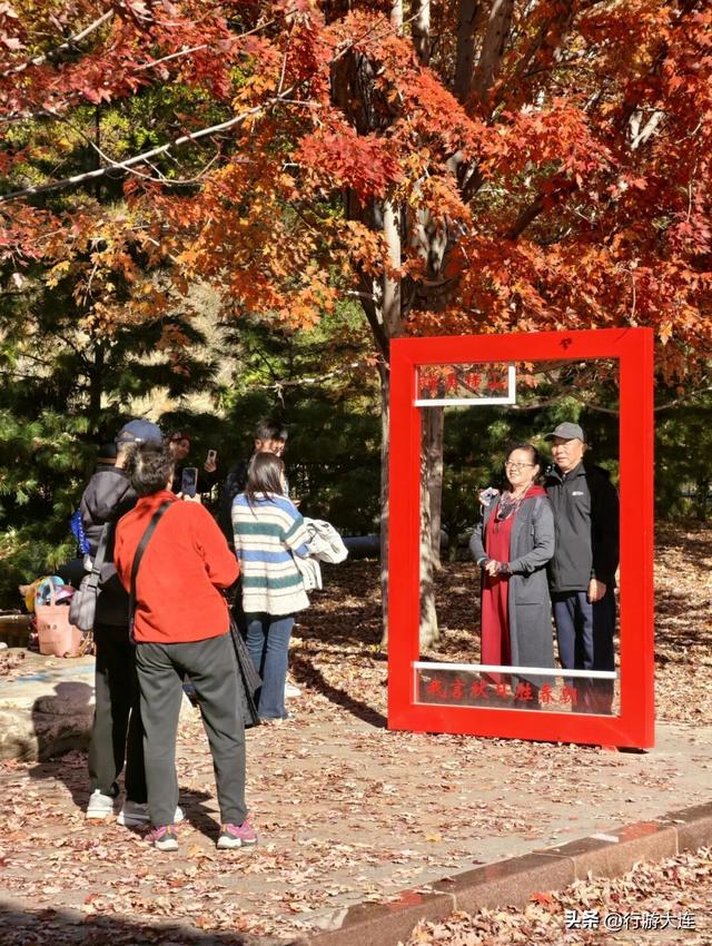 色彩峰值~走进横山公园“枫”景大片！