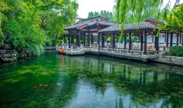 月牙泉“醒”了！济南泉水迎来最佳观赏期！