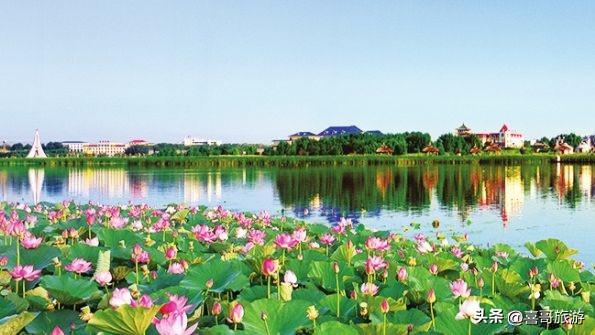 松原莲花源：塞北江南的千亩莲海与湿地秘境