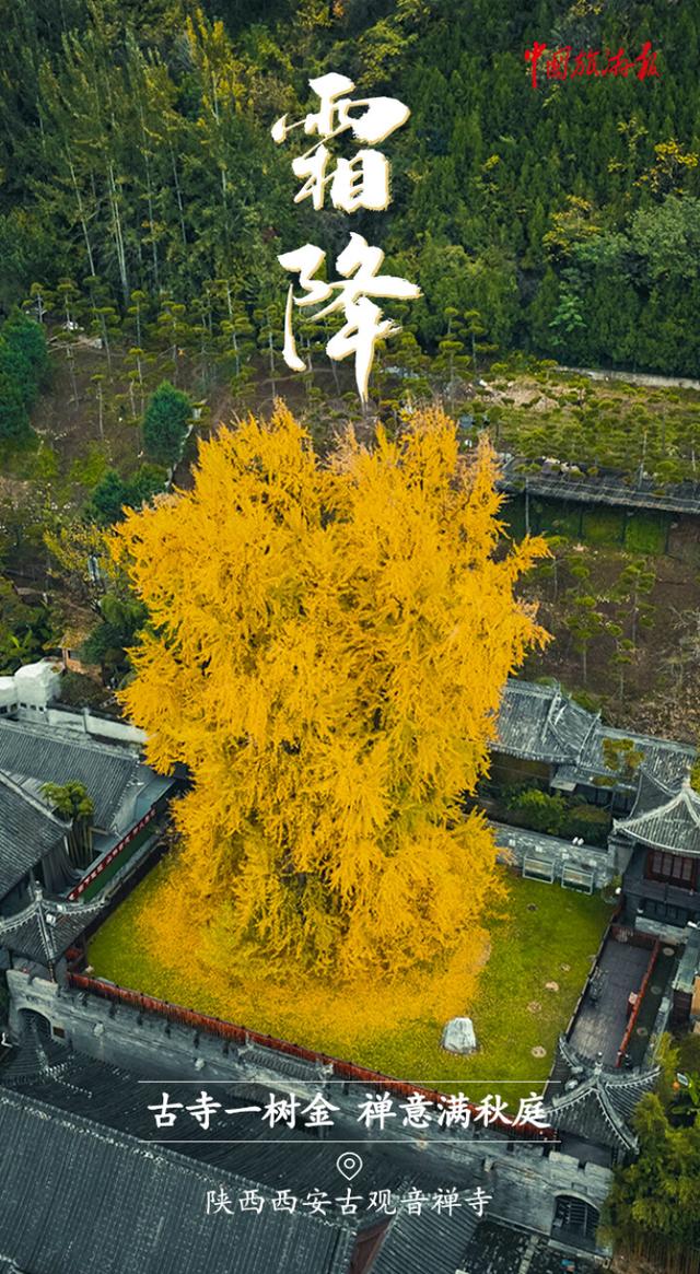 霜降丨收尽秋光惊艳色 静候冬日好时光