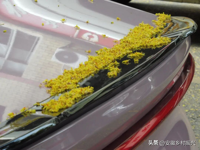 我在这个地球幸福的N个证据