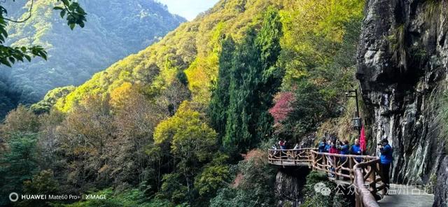 温州这个国家森林公园藏着深秋醉美的秋色，你可去过？