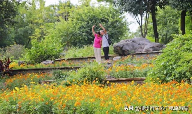 不出远门一样精彩！柳州各大公园日程表出炉，照着玩就对了→