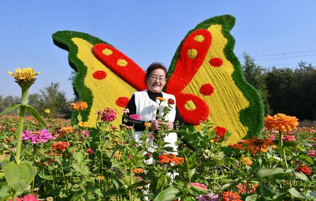 山东茌平杜郎口镇：深秋田园美景醉游人