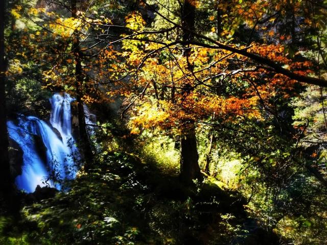 碧水吻醒秋色，落叶撞进九寨沟的调色盘
