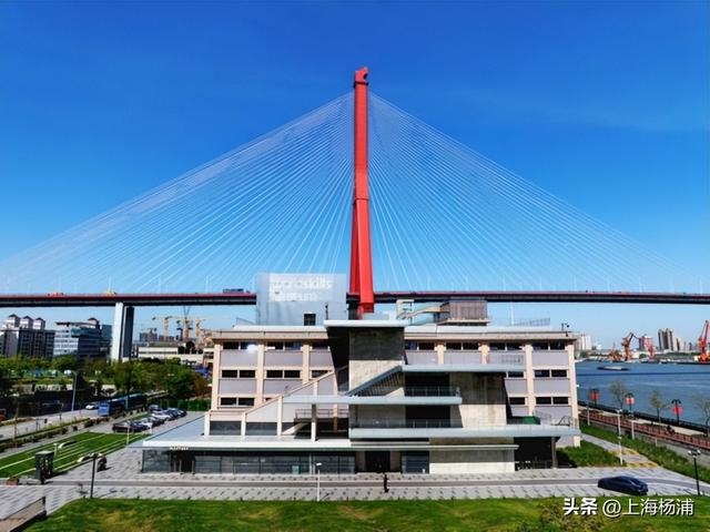 快来杨浦打卡！这条游玩线路有料又出片→