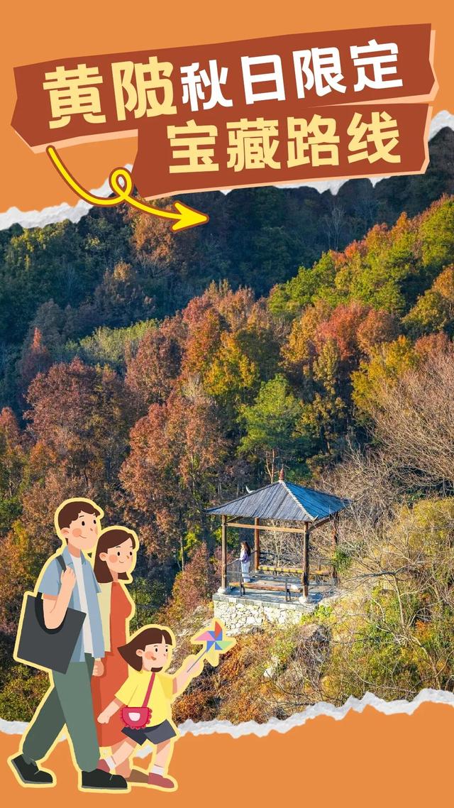 黄陂秋日限定｜草原、古村、红叶一次全解锁！