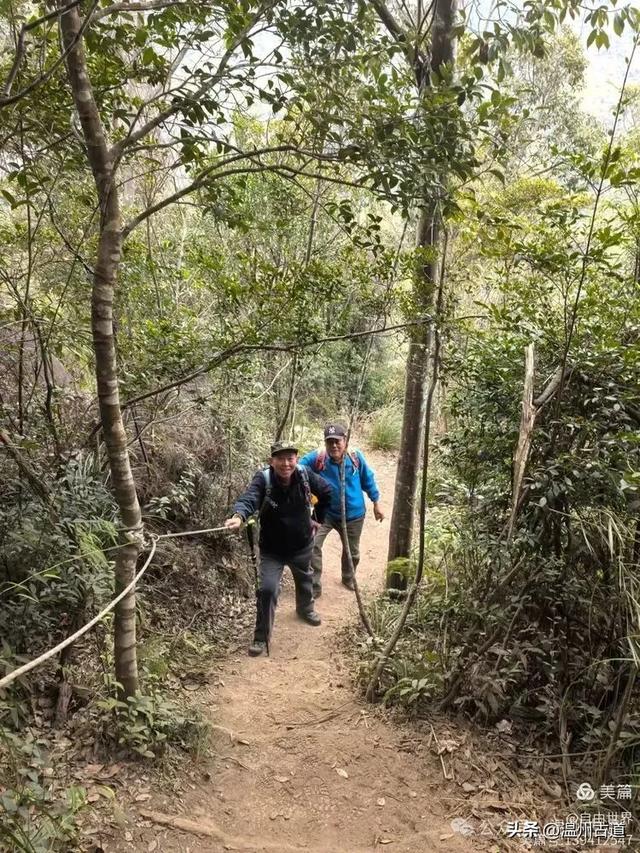 一步一景,奇石不断!温州这处奇石纷呈的的免费景区你可去过?