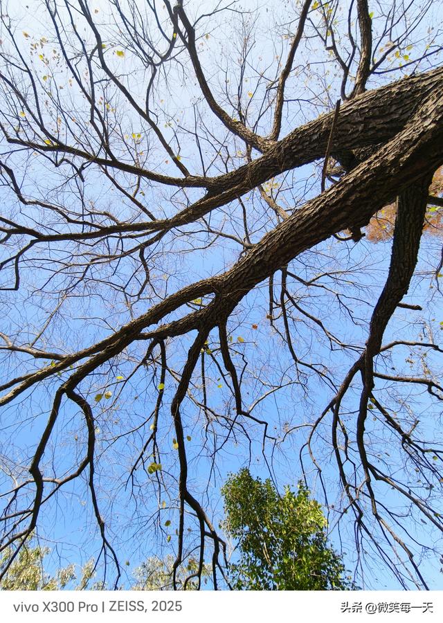 碧沙岗的秋，是郑州偷给我的半日温柔