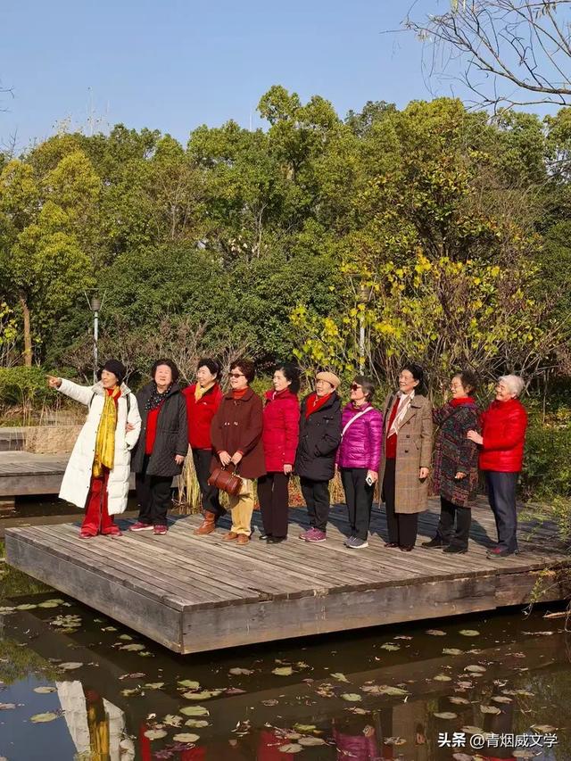 盘龙悠远银杏黄 水中学友情谊长