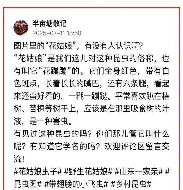 家乡的味道，舌尖记得、心也记得｜ 条友这一周