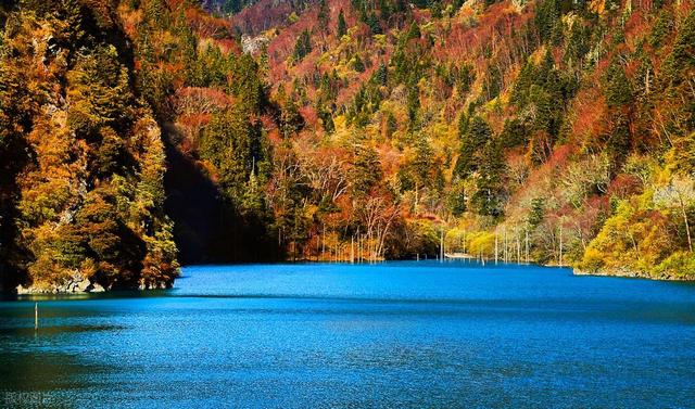10月下旬-11月中旬，适合去的8个赏秋宝地，彩林繁茂，秋色正盛