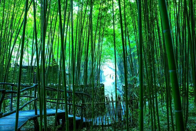 临沂自驾游5个必去景点推荐
