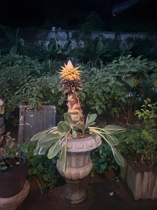 寺庙30天