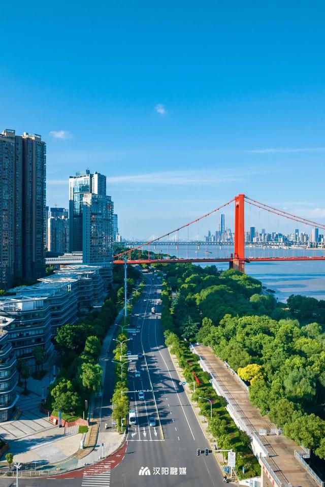 上央视！汉阳这条大道凭什么成顶流？