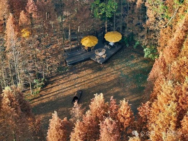 秋假去哪？崇州这些亲子游宝藏地不容错过