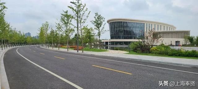 为什么金海的路大多都叫X园路、X丰路？