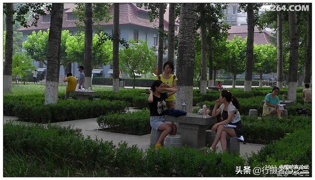 山东行游影记（16）—济南山东大学（三）