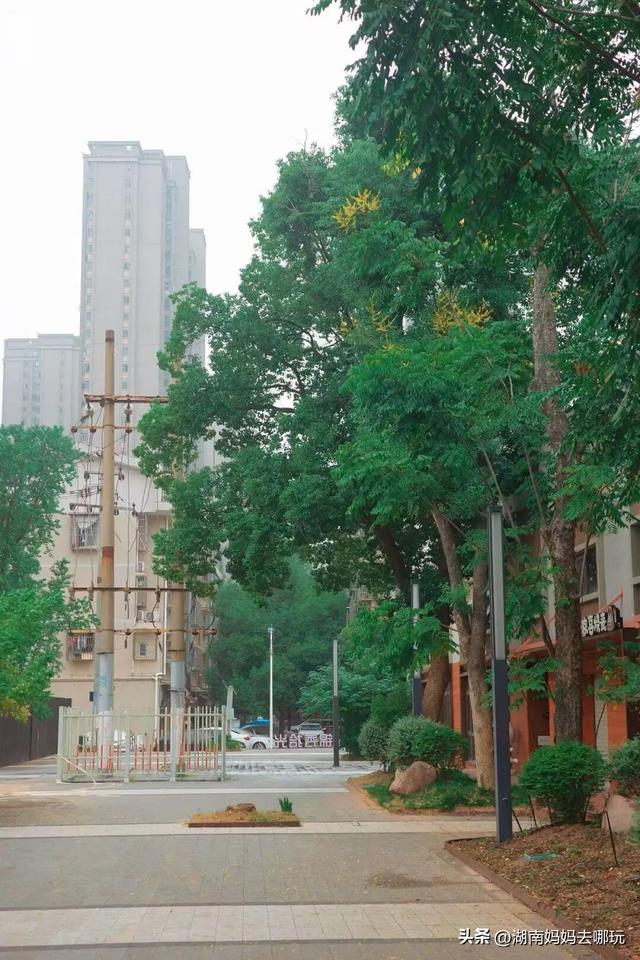 长沙妈妈私藏！河西新晋遛娃宝地，竟藏着“清迈”同款松弛感