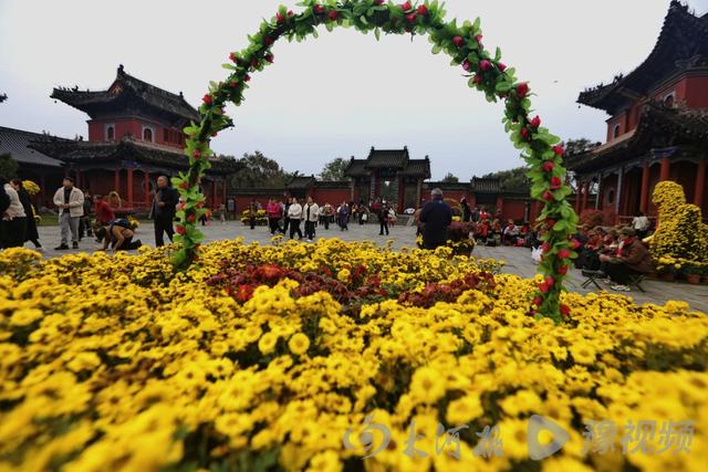 周口：重阳赏菊正当时 千年古陵飘菊香