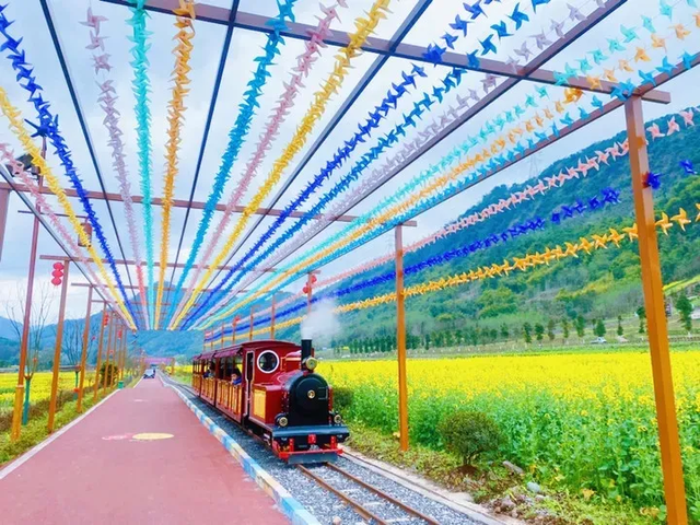 亲子游可以去哪？芦山帮你安排！