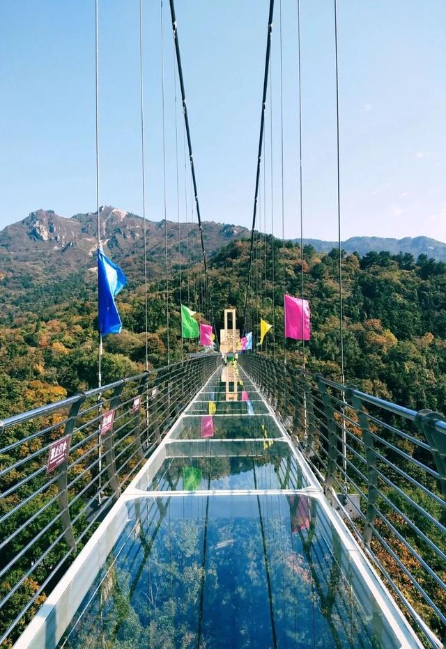 秋日登高，黄陂“顶”好玩！