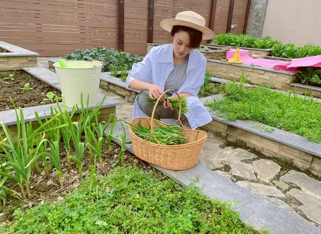 和李晨分手6年后嫁普通人，整个人都变样了，现在活成了人生赢家