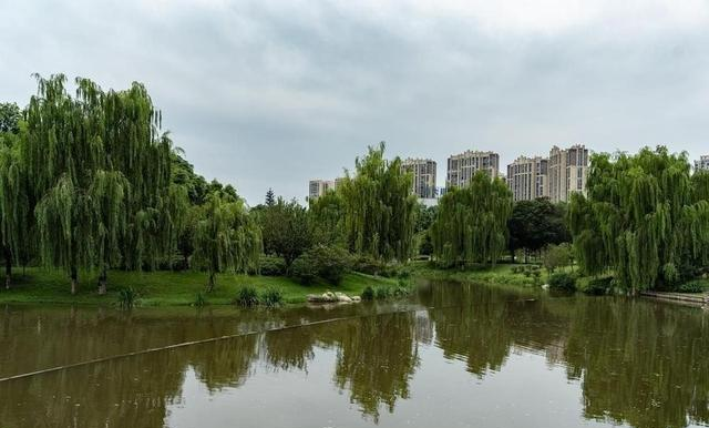 告诉大家一个好消息：济南出现 4 个新现象，关系到每个人！