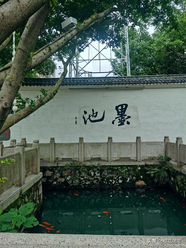 花小钱玩转温州！亲测有效的温州一日游攻略！