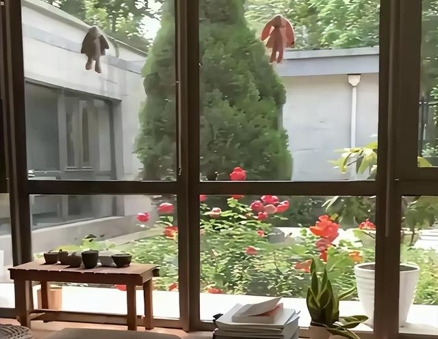 杨振宁去世仅半月，翁帆近况曝光，入职清华没编制，杨光诺没说错