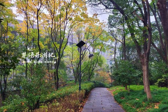 绍兴上虞的绚丽秋色，堪称封神的红枫园林胜境，比风景油画还要美