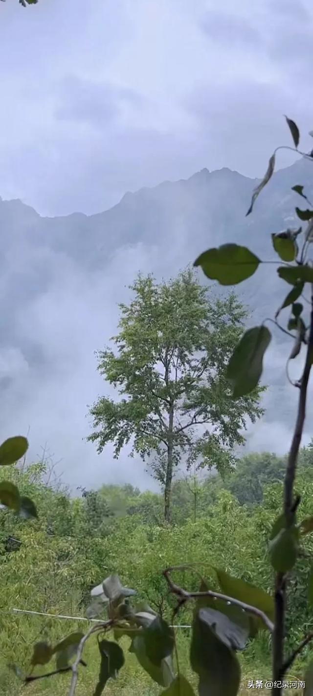 长白山简史：跨越时空的自然与人文传奇