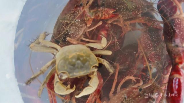 玩法多样 服务升级 酒店成亲子度假“新主场”