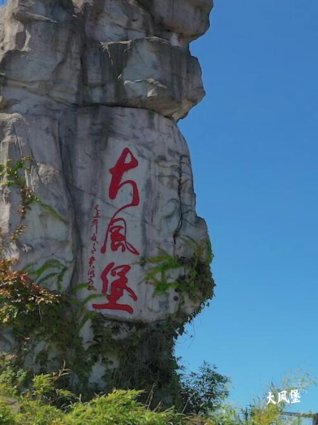 🌿 21℃的森林空调房！石柱黄水超全避暑攻略！