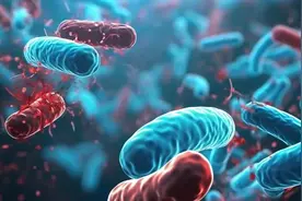 世卫多次警告的“X疾病”，到底是种什么病？图片