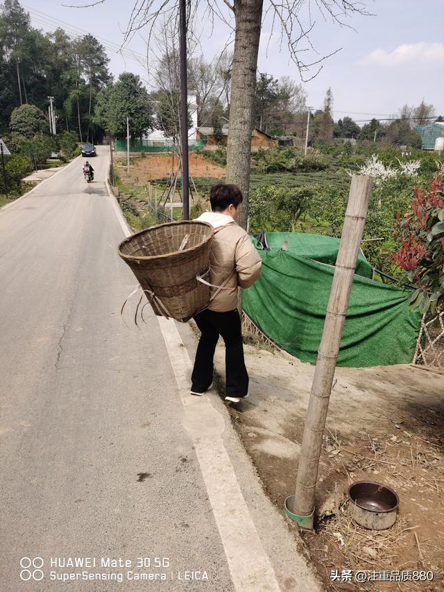 我的2025~实现了由自驾游为“自驾旅居”游的转变