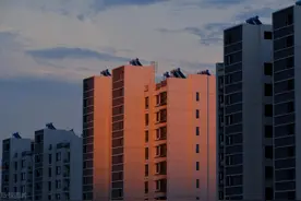 杭州再放大招，购房落户接近“零门槛”图片