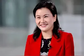 湖南十大富豪名单（根据2024胡润百富榜和上市公司公开数据整理）图片