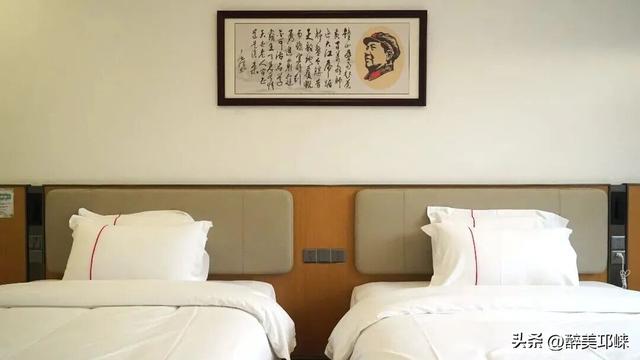 天台后山·山野萤光音乐季活动即将启幕，邀你共赴一场美好的旅程