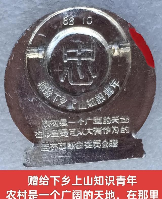 毛主席为何让知识青年上山下乡？直到如今，才明白伟人的深意。